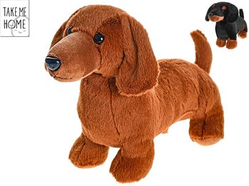 Take Me Home jazvek plyov 36cm stojac