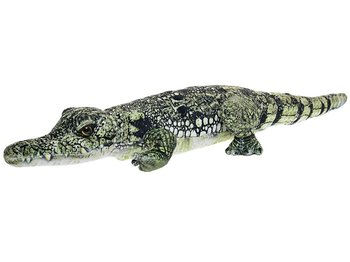 Krokodl plyov 50cm leiaci