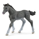 Schleich Animal - Trakehnersk rieb