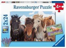 Ravensburger 051489 Fotky koní 2x24 dílků