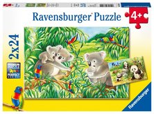 Ravensburger Koaly a pandy 2 x 24 kusov